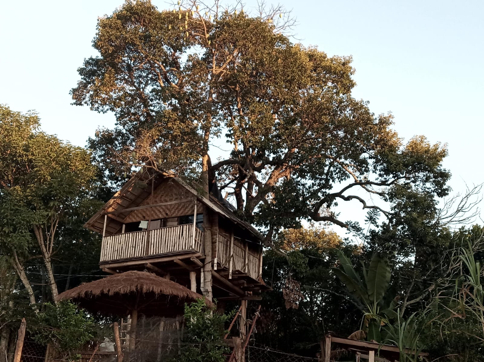 Mudança para a roça, casa na árvore